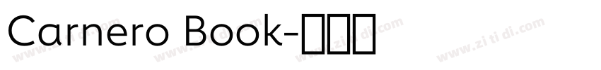 Carnero Book字体转换